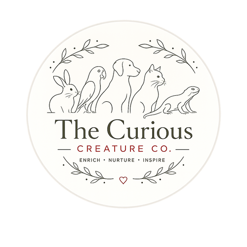 The Curious Creature Co